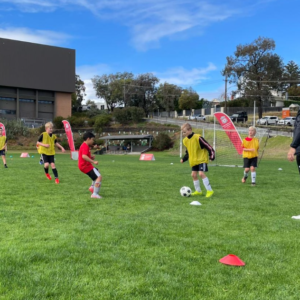 St Joseph's College Geelong Skill Development Clinic - Term 1 - Image 5