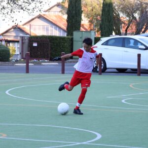 Ave Maria College Aberfeldie Skill Development Clinic - Term 1 - Image 3