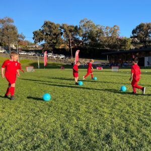 St Joseph's College Geelong Skill Development Clinic - Term 1 - Image 3