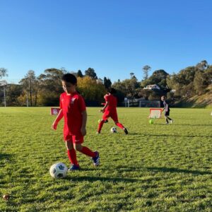 St Joseph's College Geelong Skill Development Clinic - Term 1 - Image 4